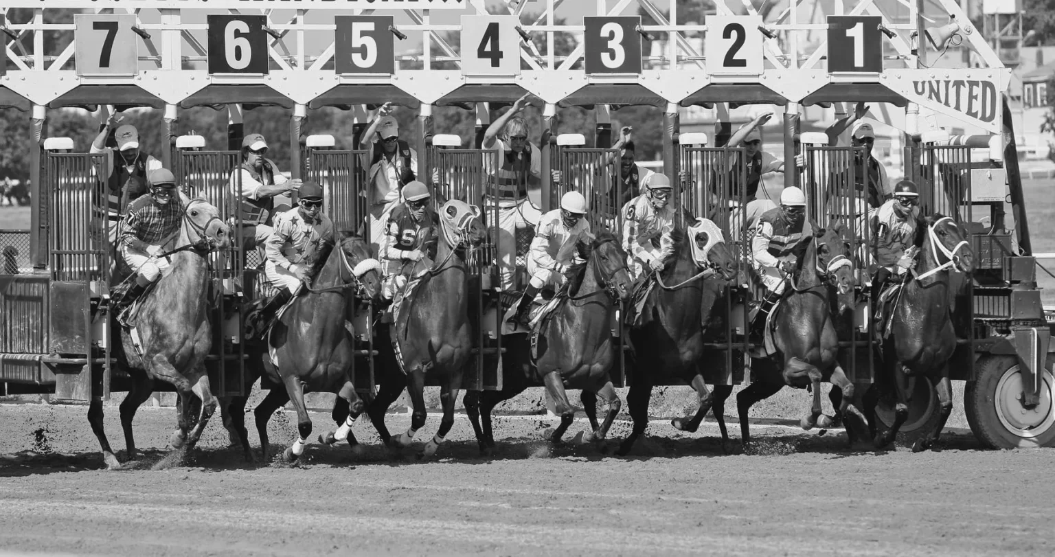 Analyzing the Favorites and Dark Horses for the Kentucky Derby
